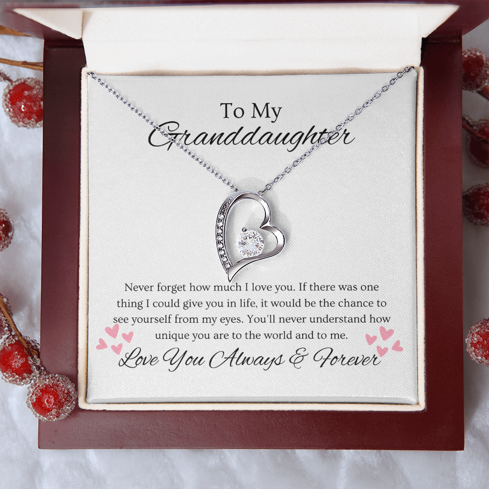 Granddaughter, Never Forget  Heart Necklace -0004
