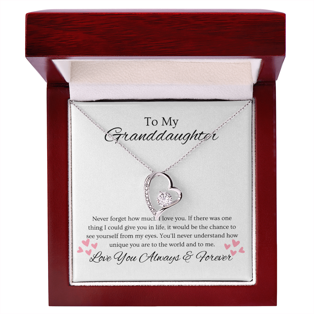 Granddaughter, Never Forget  Heart Necklace -0004