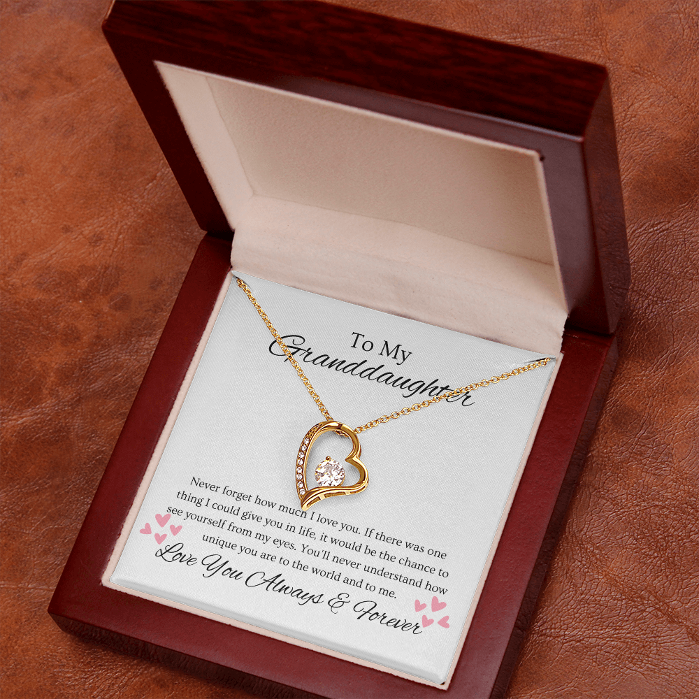 Granddaughter, Never Forget  Heart Necklace -0004
