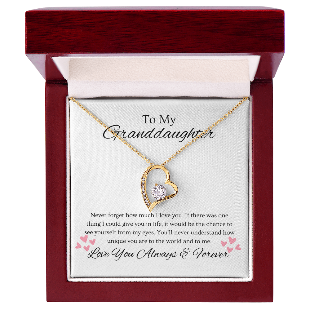 Granddaughter, Never Forget  Heart Necklace -0004