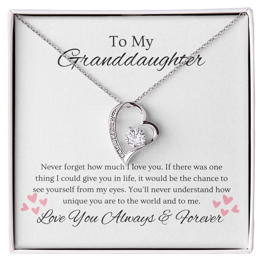 Granddaughter, Never Forget  Heart Necklace -0004