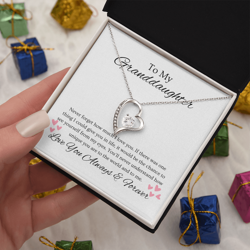 Granddaughter, Never Forget  Heart Necklace -0004