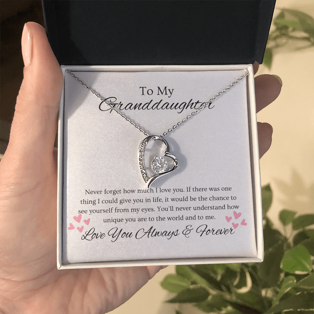 Granddaughter, Never Forget  Heart Necklace -0004