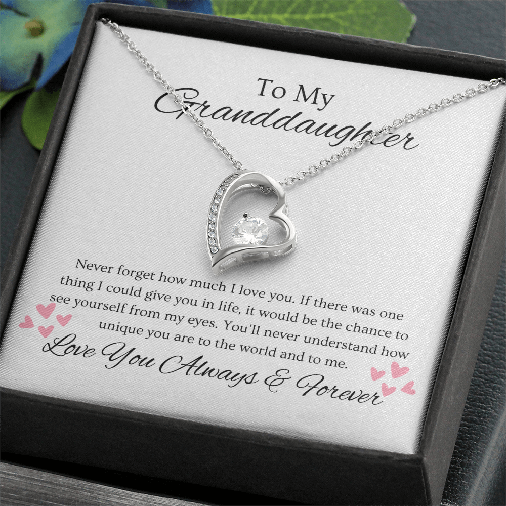 Granddaughter, Never Forget  Heart Necklace -0004
