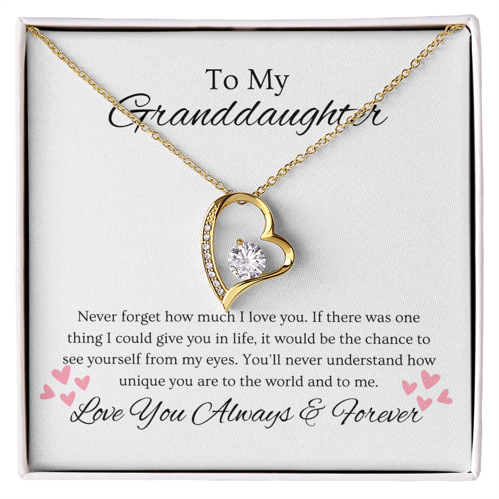 Granddaughter, Never Forget  Heart Necklace -0004