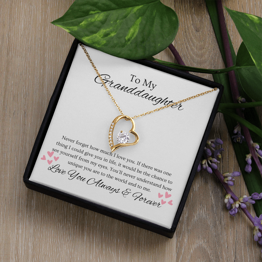 Granddaughter, Never Forget  Heart Necklace -0004