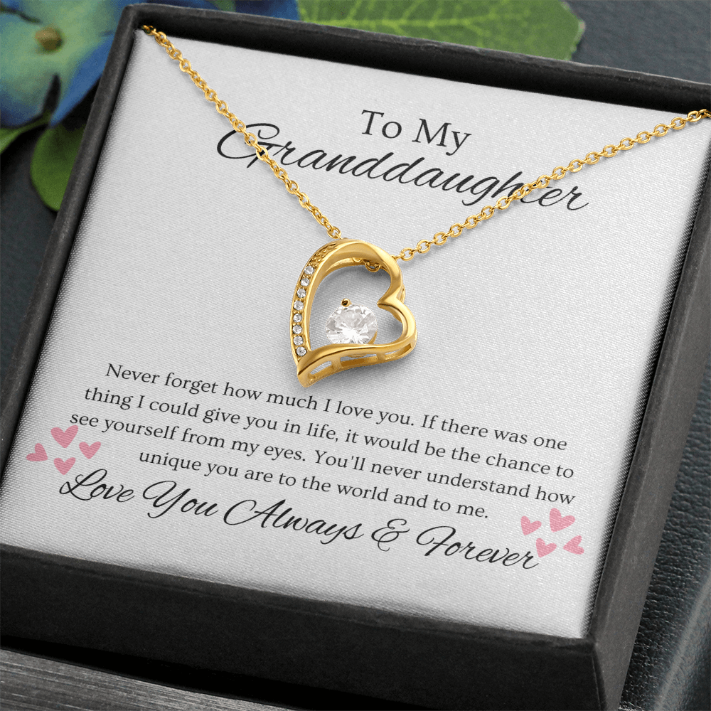 Granddaughter, Never Forget  Heart Necklace -0004